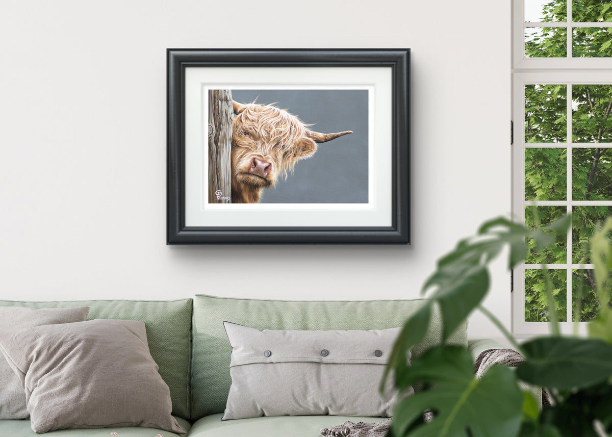 Highland Cow Collection