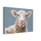 0b0b2e51-664d-4afd-9abb-7a270715315a