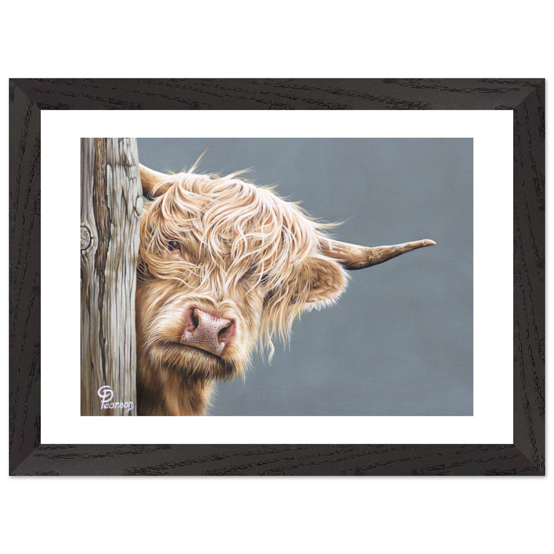 Framed artwork of a highland cow peeking from behind a wooden post on a gray background.