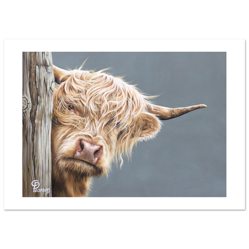 Painting of a highland cow peeking around a wooden post with a gray background