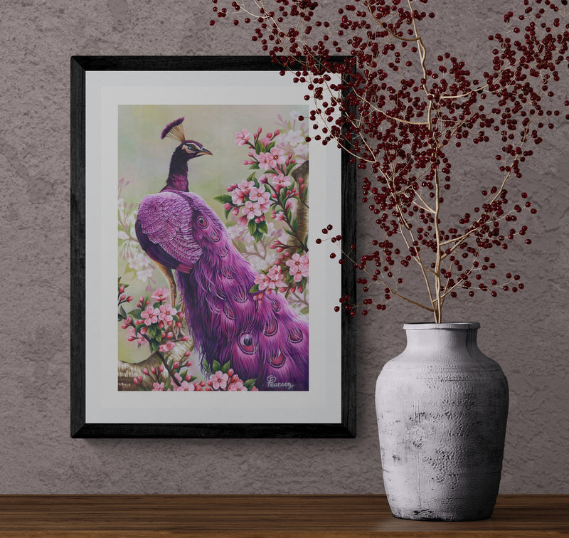 Pink Perfection Peacock Framed Fine Art Print