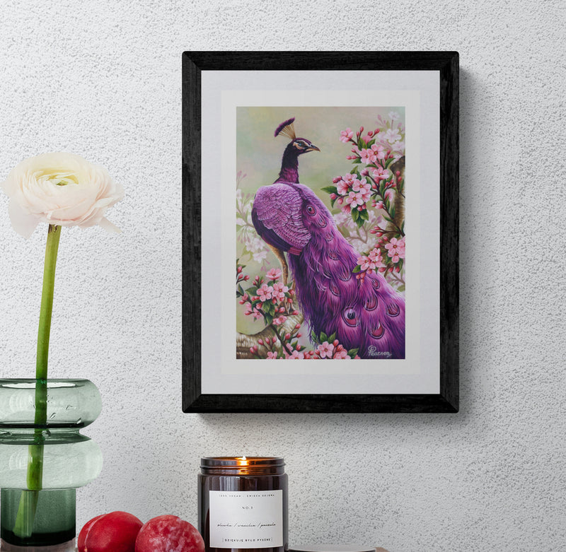 Pink Perfection Peacock Framed Fine Art Print