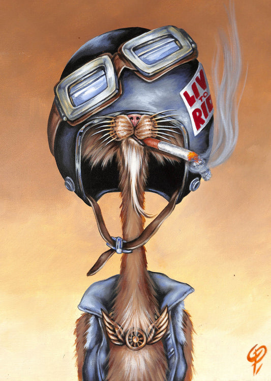 BIKER CAT SMOKING CIGARETTE