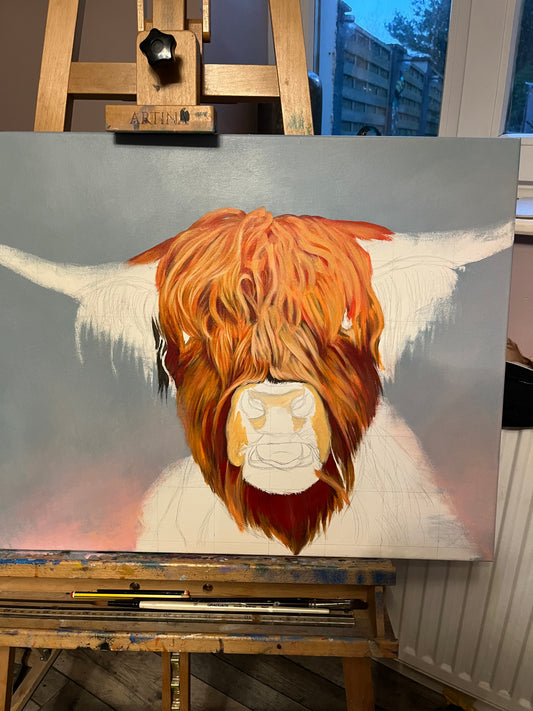 HIGHLAND COW