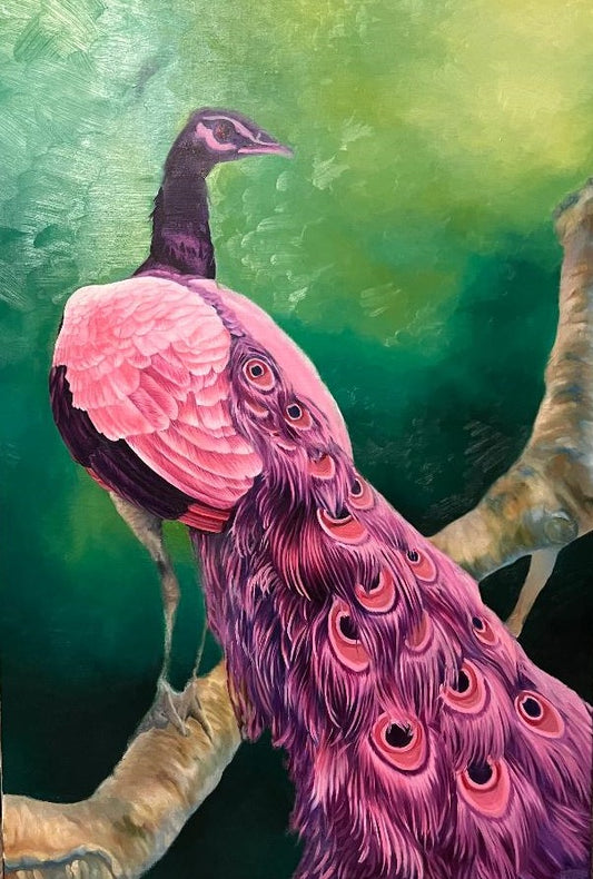 peacock