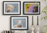 Wildlife Fine Art Print's