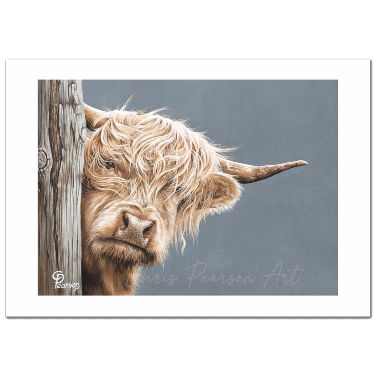 Hazel Of The Highlands Highland Cow Fine Art Print
