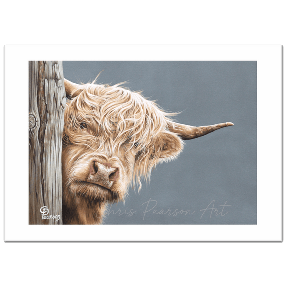 Hazel Of The Highlands Highland Cow Fine Art Print