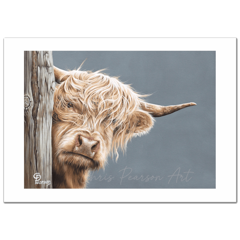 Hazel Of The Highlands Highland Cow Fine Art Print