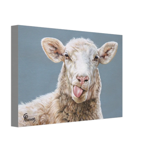 0b0b2e51-664d-4afd-9abb-7a270715315a