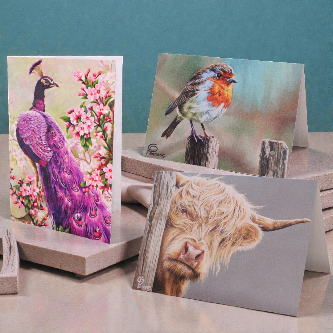 Image with text section