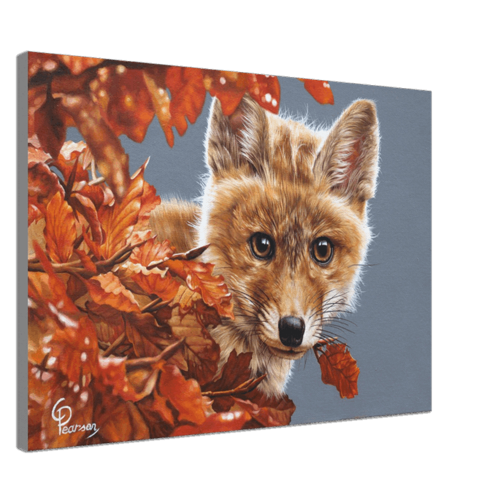 Bright Eyes Fox Canvas Art – Vibrant Wildlife Print