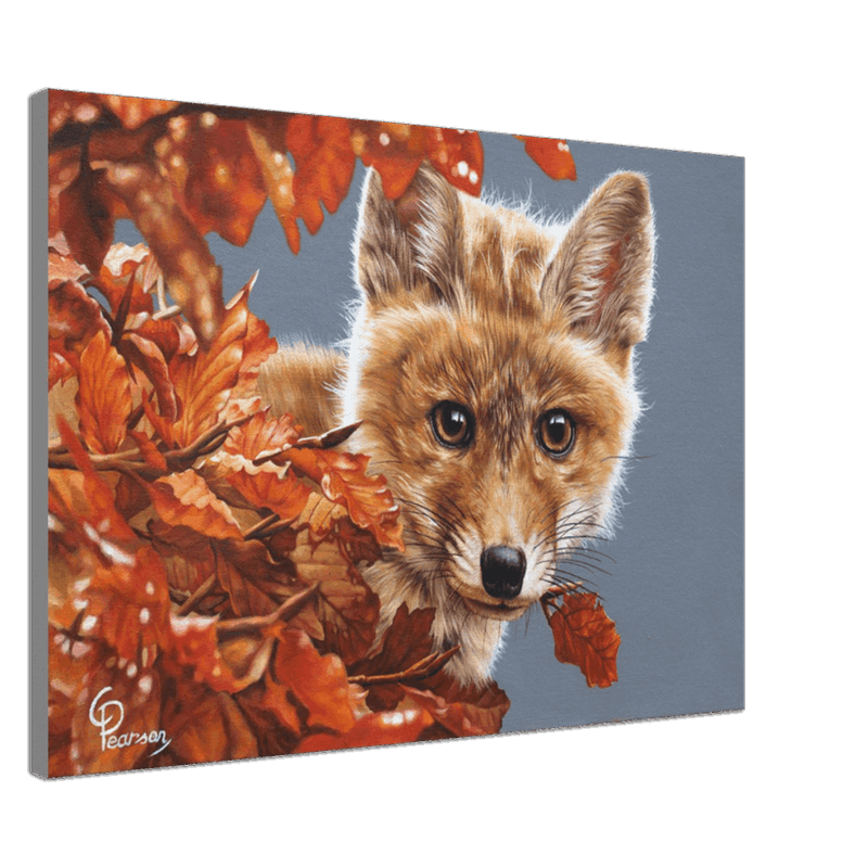 Bright Eyes Fox Canvas Art – Vibrant Wildlife Print