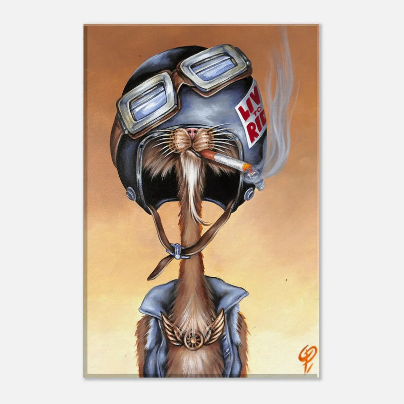 3da8f6ff-40ae-4fec-8c6f-0e02e0def32d