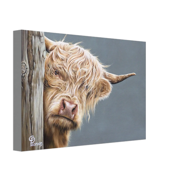 46c993c4-99c3-4aa4-89d7-23dfbf9a8a16