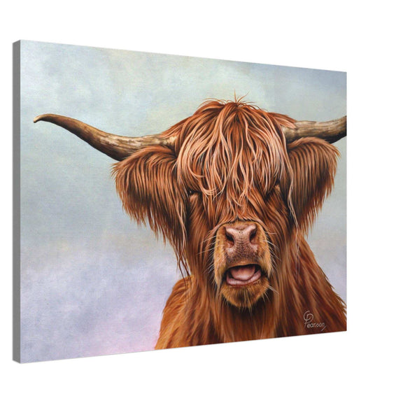 55345b85-f9e4-49c2-9f3f-699edec64afe