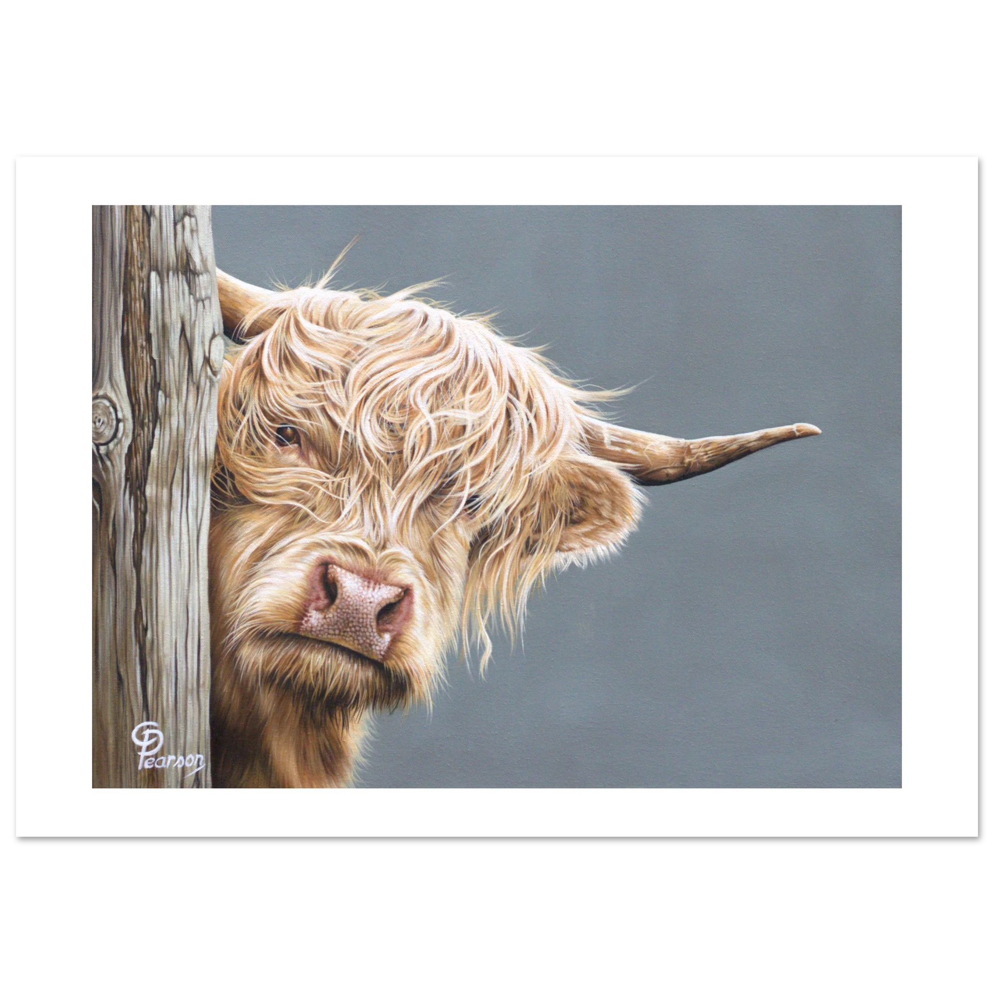 66a523ee-d9c6-4c0f-9a4e-700e19787132