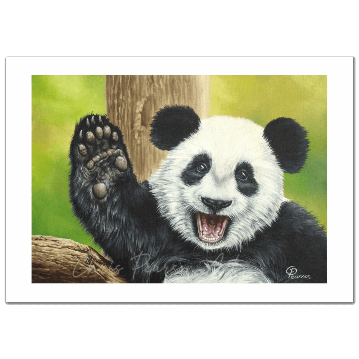 Lu Lu The Panda Fine Art Print