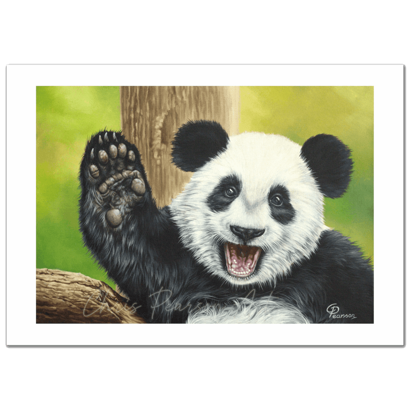 Lu Lu The Panda Fine Art Print