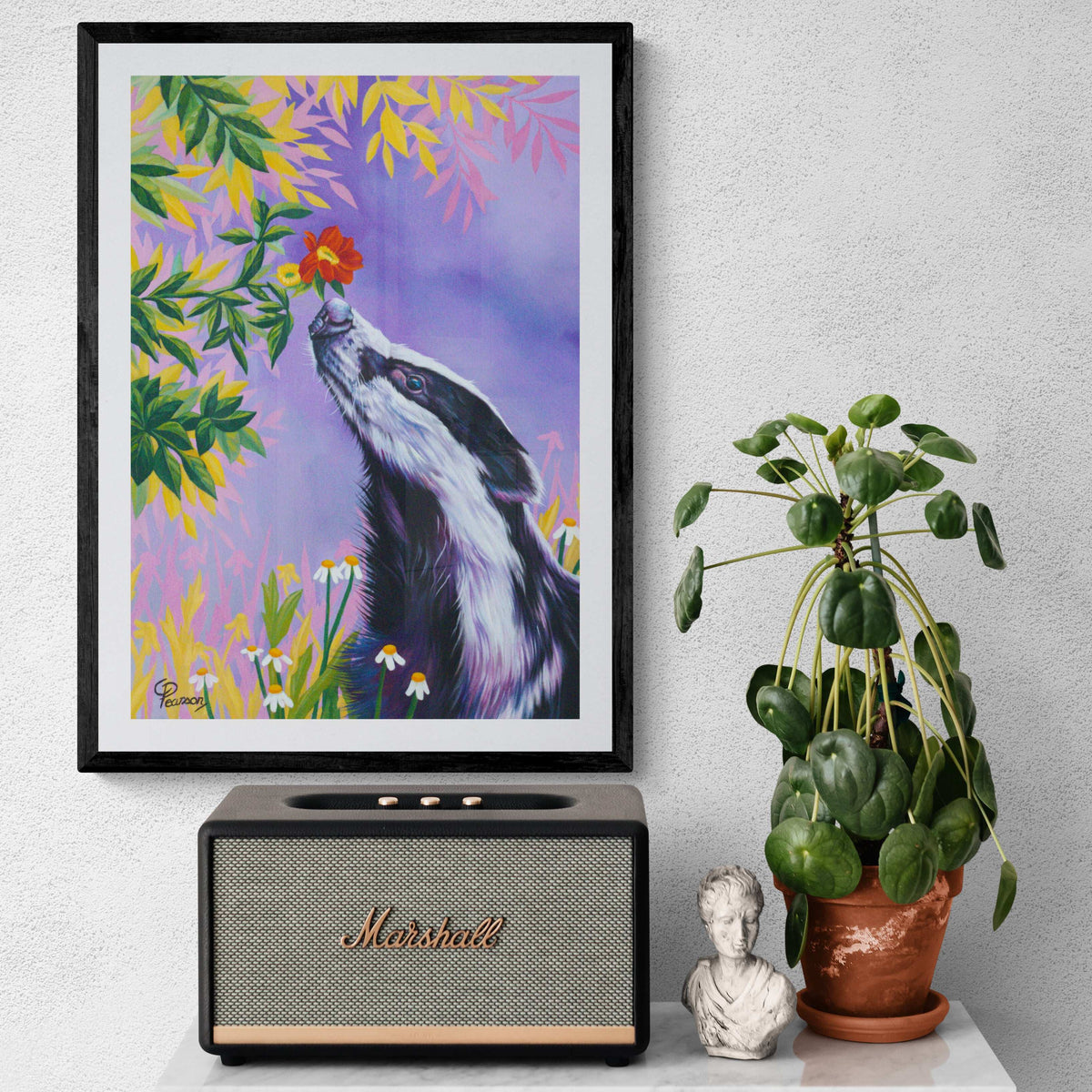 badger sniffing flower 