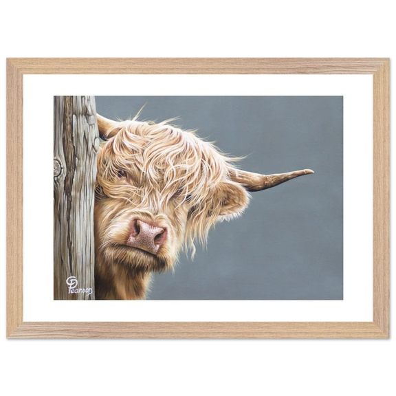 86aed5aa-1bdc-4dc5-b538-8effc10a2cdd