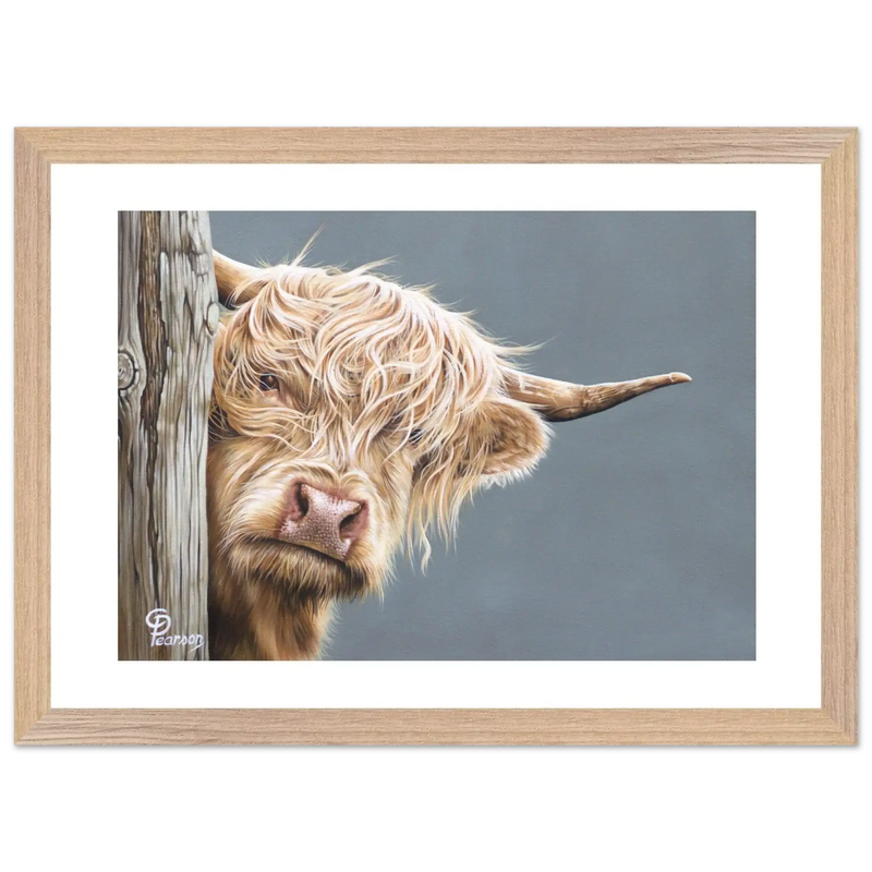 86aed5aa-1bdc-4dc5-b538-8effc10a2cdd