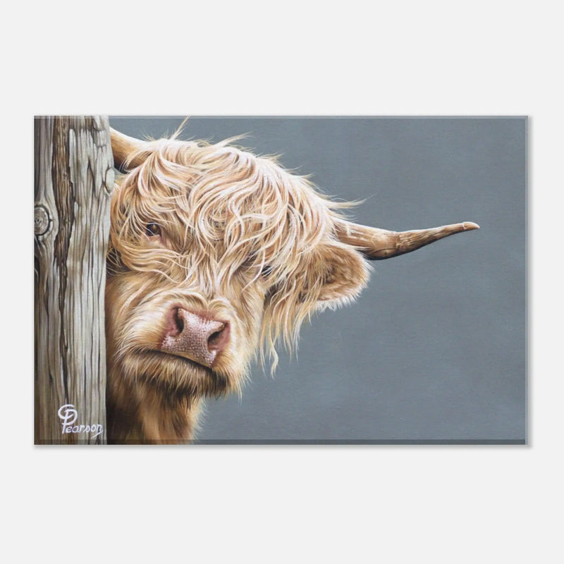 895741e6-9aac-41d0-b8ad-0c1cdcd4dced