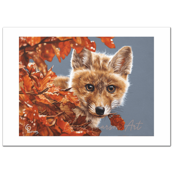 Bright Eyes The Inquisitive Fox Fine Art Print