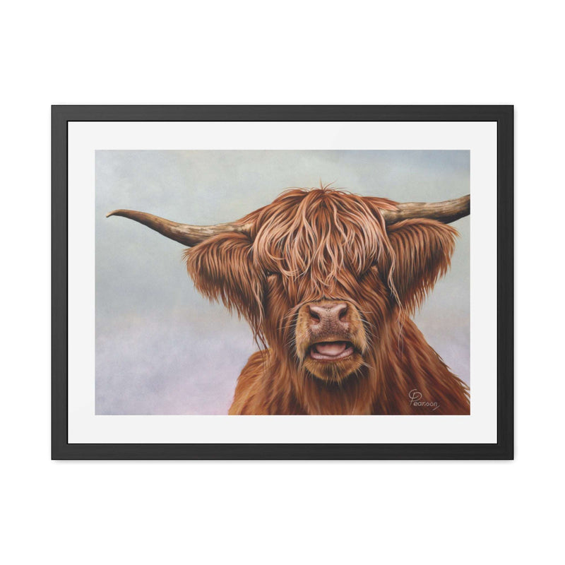 Fergus Highland Cow Framed Print
