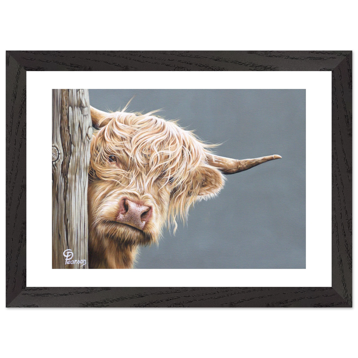 Framed artwork of a highland cow peeking from behind a wooden post on a gray background.