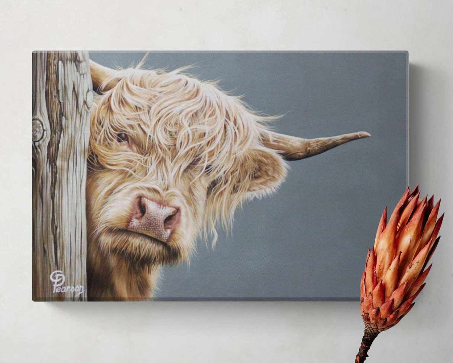 Hazel Of The Highlands Highland Cow Mini Canvas Wall Art