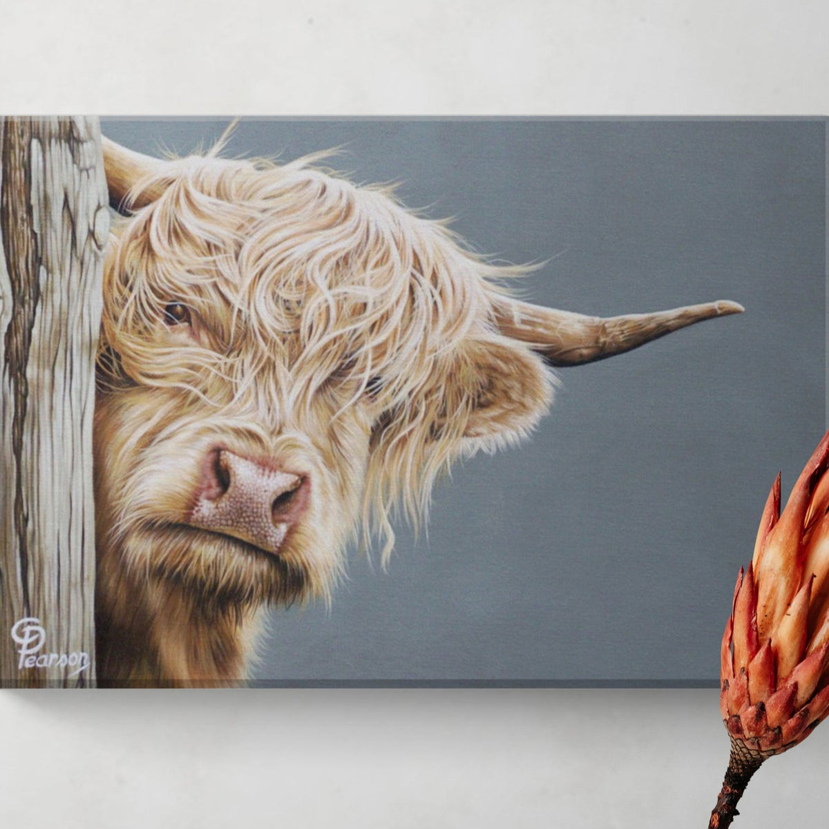 Hazel Of The Highlands Highland Cow Mini Canvas Wall Art