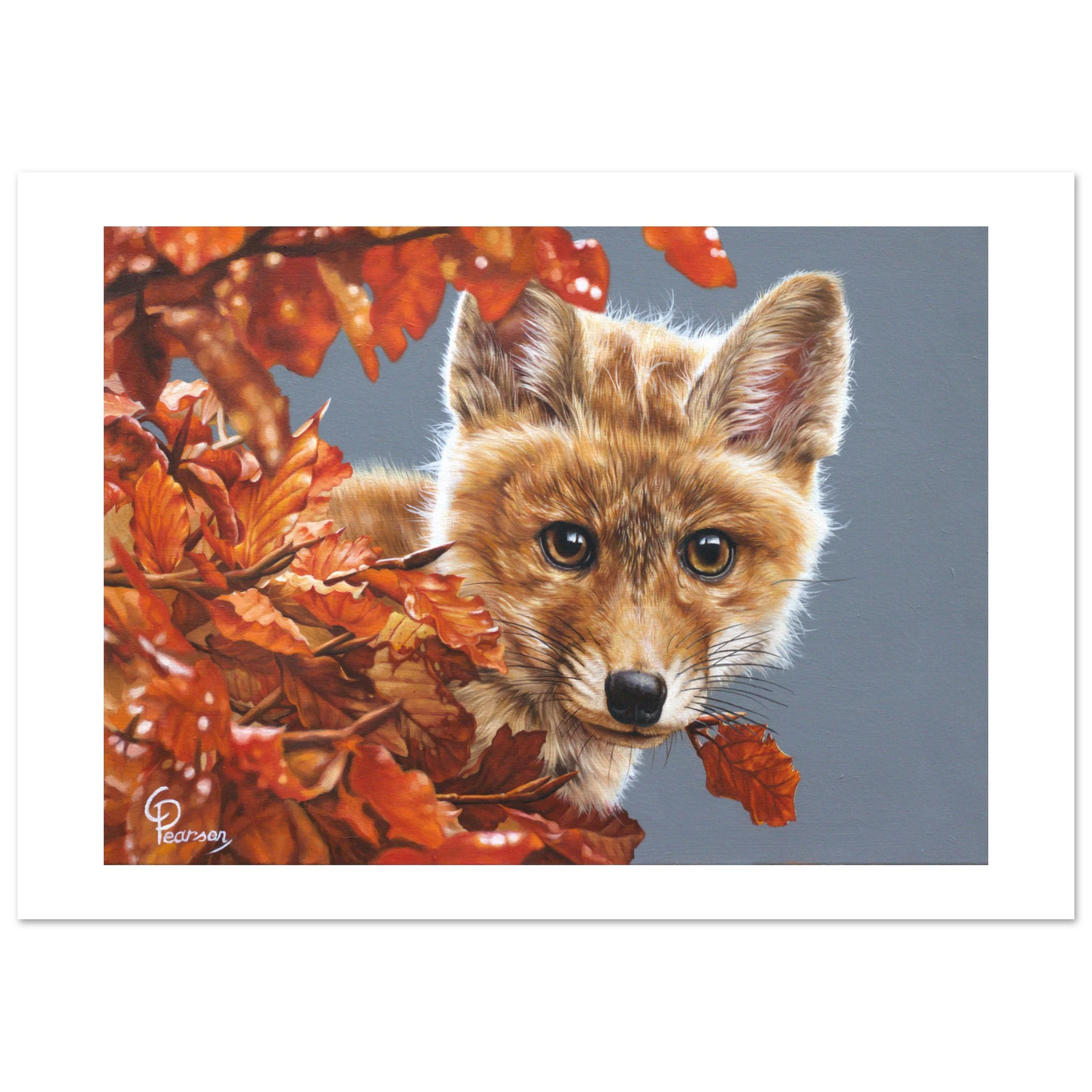 Painting of a fox surrounded by autumn leaves on a gray background