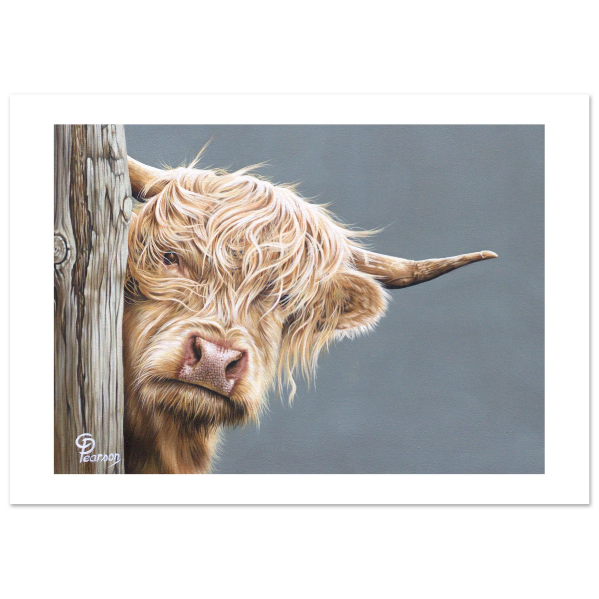 Painting of a highland cow peeking around a wooden post with a gray background