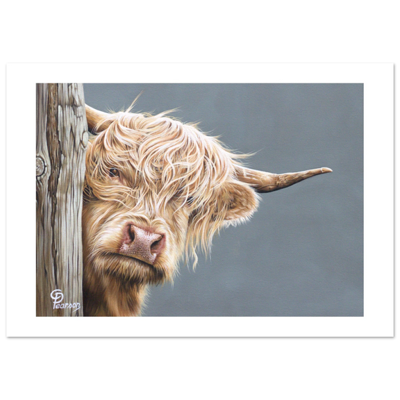 Painting of a highland cow peeking around a wooden post with a gray background