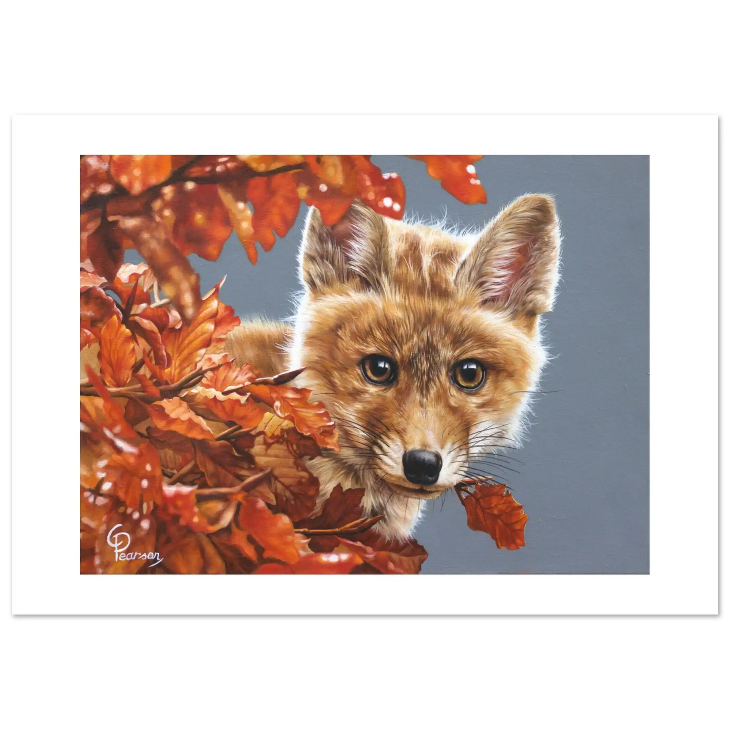 b49871e5-b730-4349-9e69-e070d0f61b88