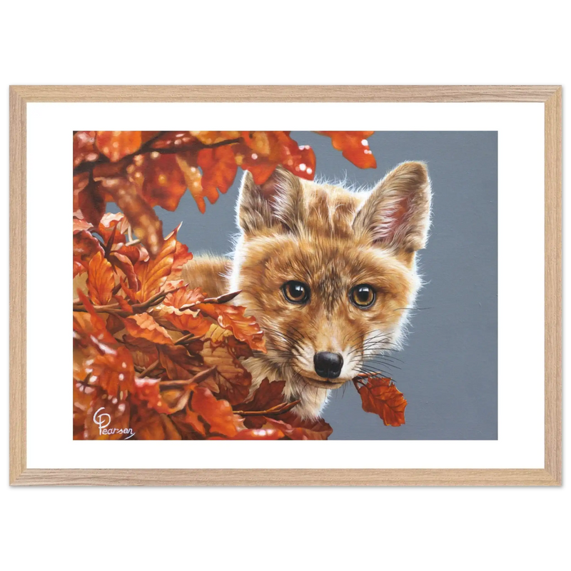 b6bd1141-088d-4e30-a32e-6ba444442f72