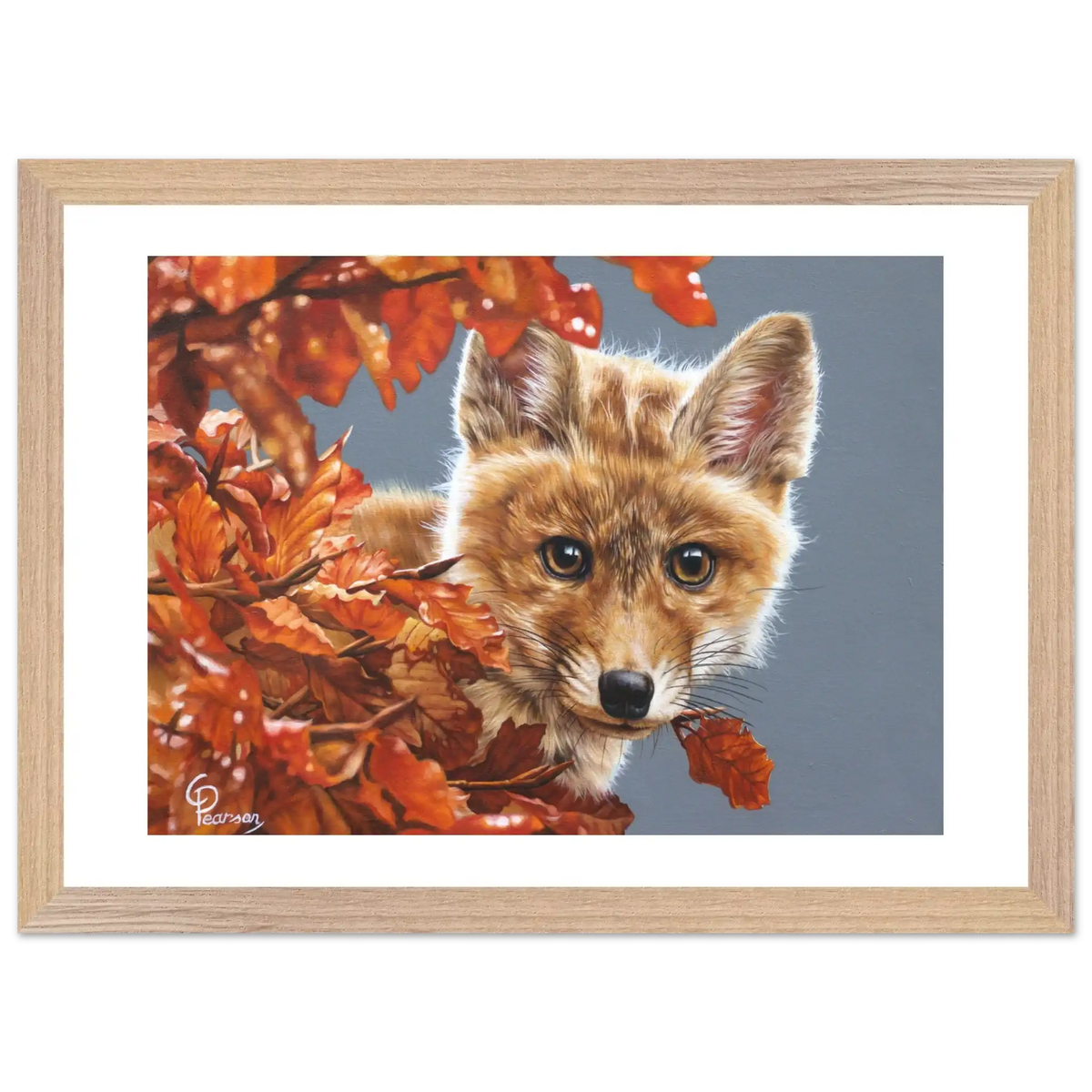 b8066969-2f05-421f-81a2-8cab3970349d