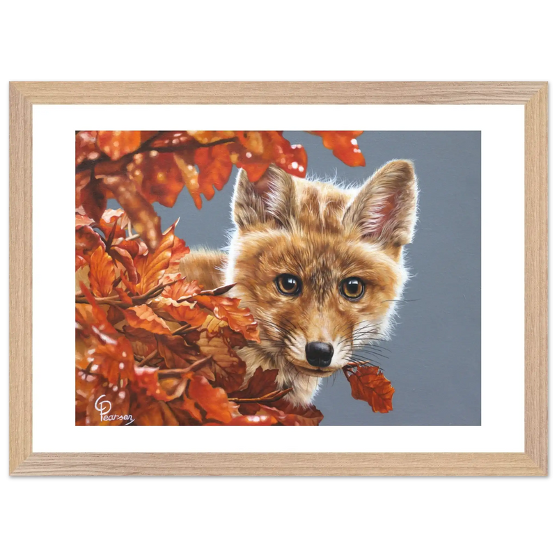 b8066969-2f05-421f-81a2-8cab3970349d