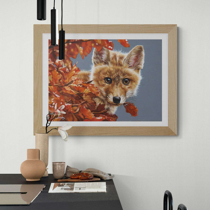Bright Eyes The Inquisitive Fox Fine Art Print