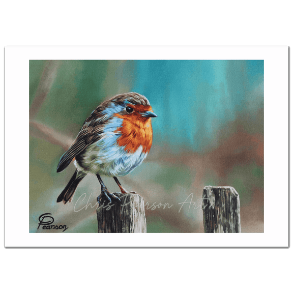 Joy the Robin Fine Art Print