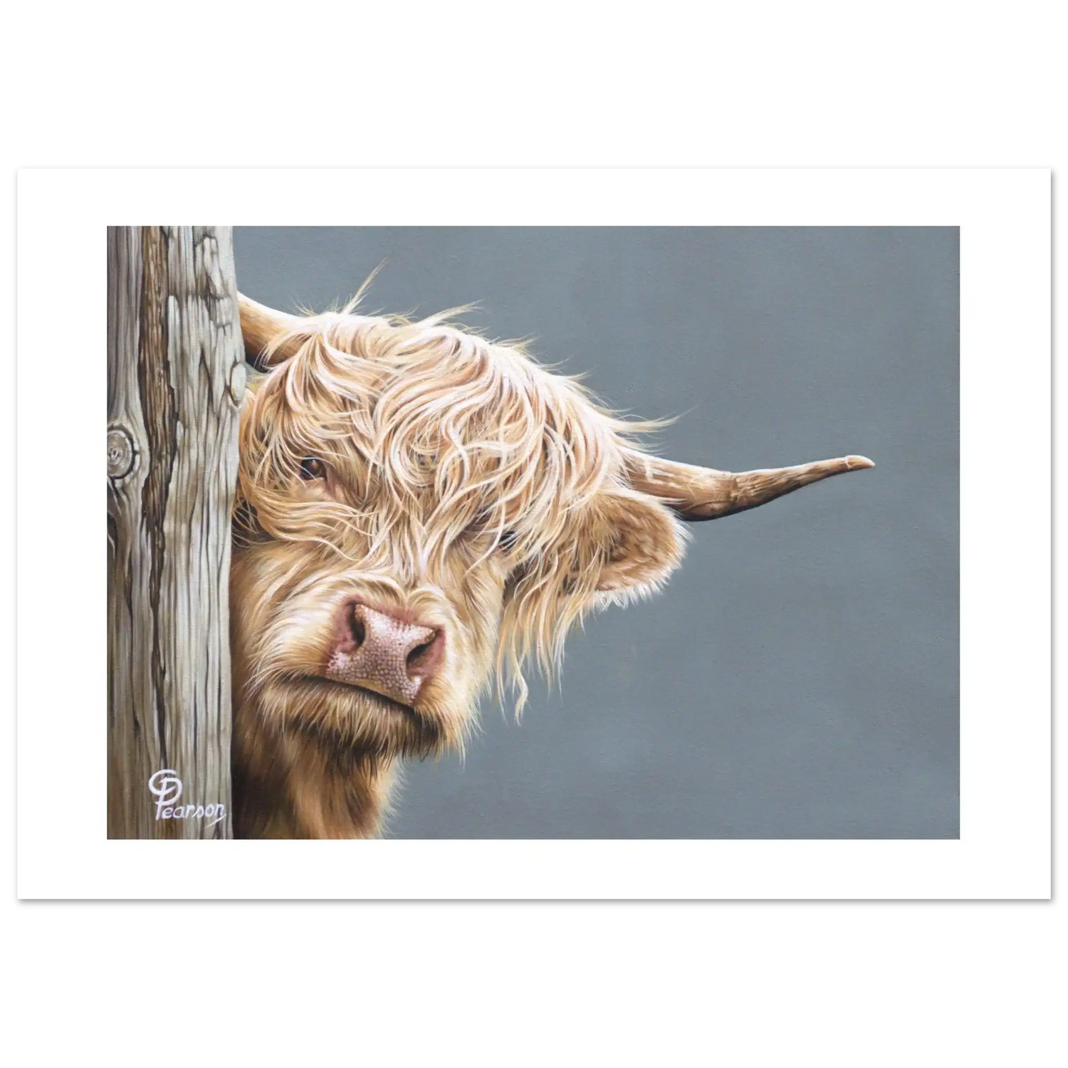 c9130271-75e7-4cc9-9a82-e43a6c412ab5