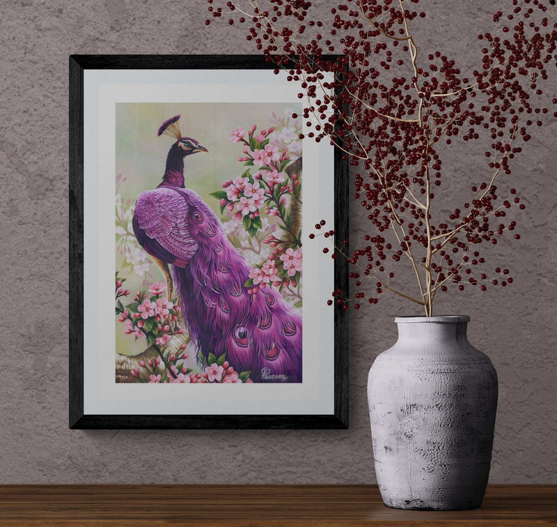 Pink Perfection Peacock  Fine Art Print