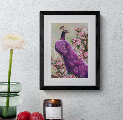 Pink Perfection Peacock Framed Fine Art Print