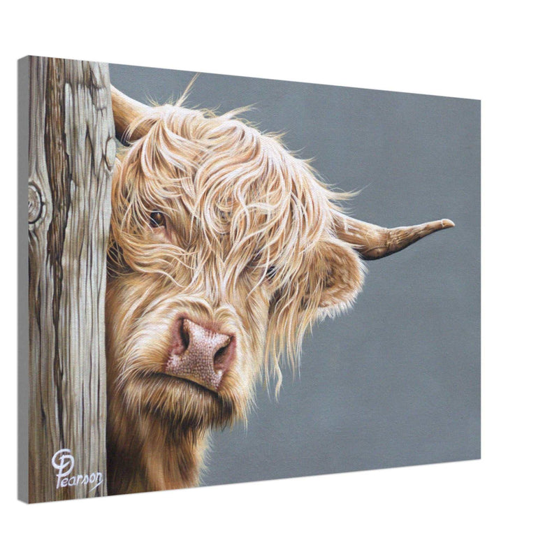 highland cow wall art canvas print