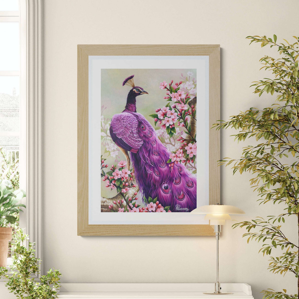 Pink Perfection Peacock  Fine Art Print