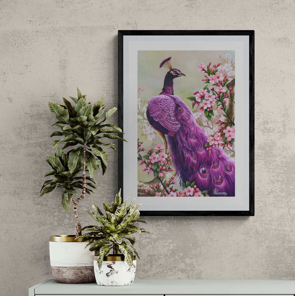 Pink Perfection Peacock Framed Fine Art Print