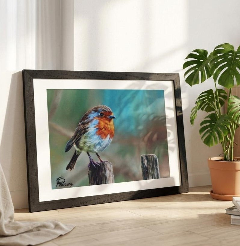 joy the Robin Framed Fine Art Print