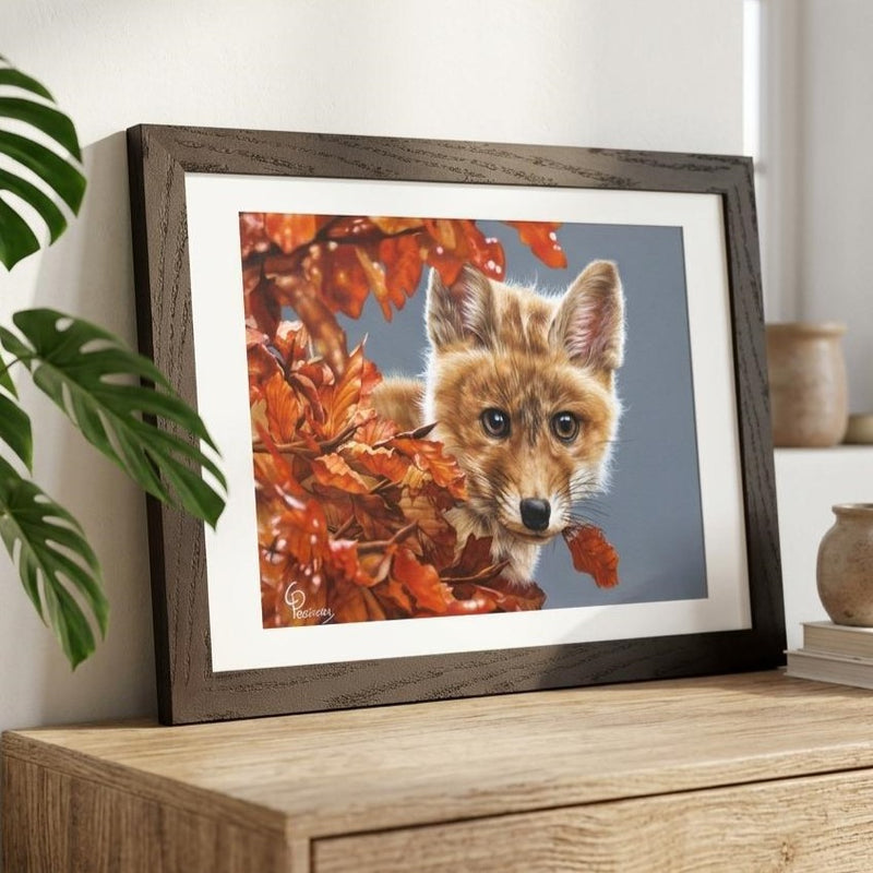 Bright Eyes The Inquisitive Fox Fine Art Print